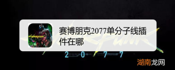赛博朋克2077单分子线插件在哪