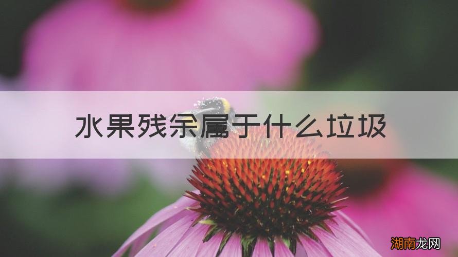 水果残余属于什么垃圾