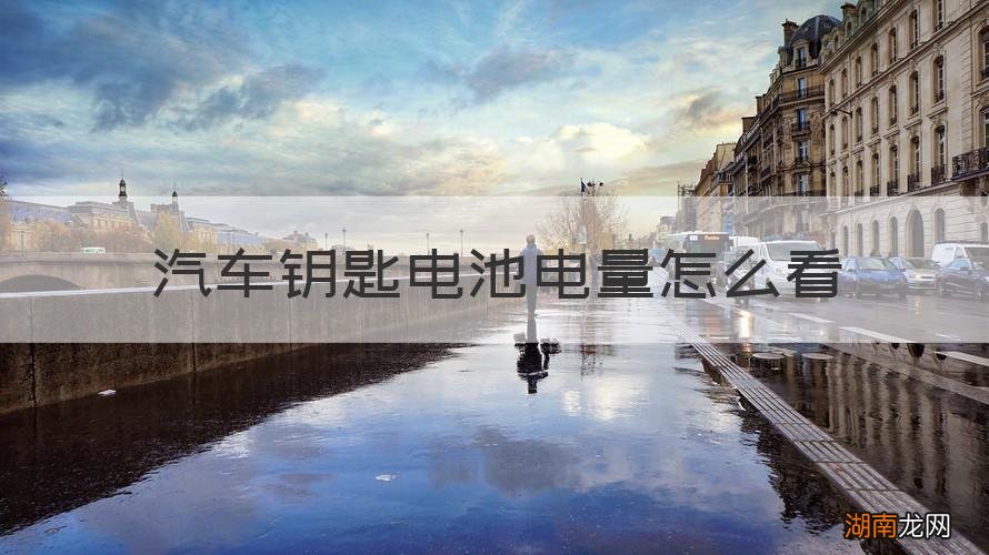 汽车钥匙电池电量怎么看