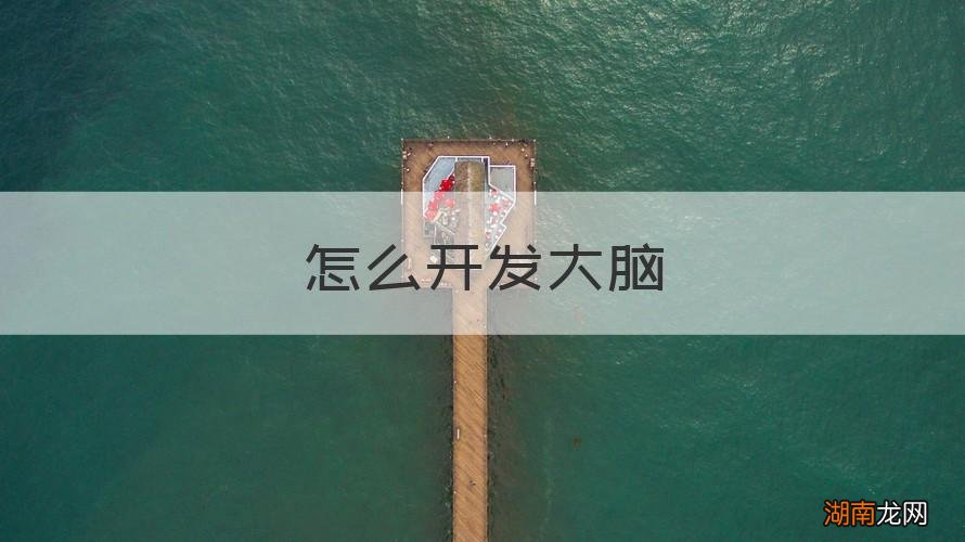 怎么开发大脑
