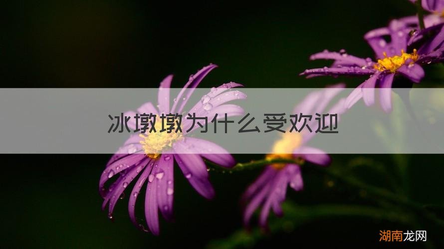 冰墩墩为什么受欢迎