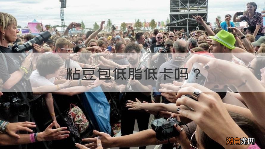 粘豆包低脂低卡吗?
