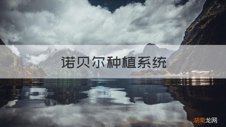 诺贝尔种植系统
