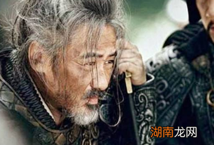 蜀汉被灭后，会有第二个司马懿的出现吗？